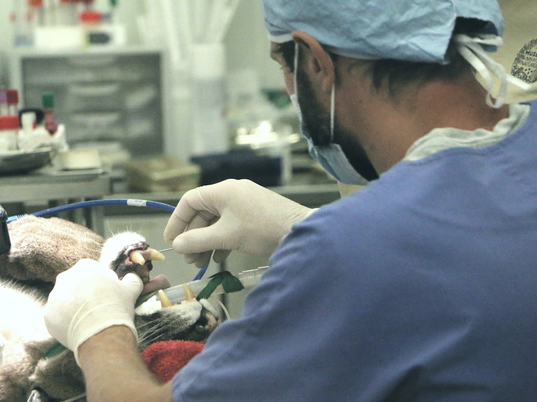 Photo Robotic surgery