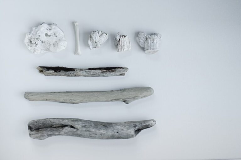 Photo body materials