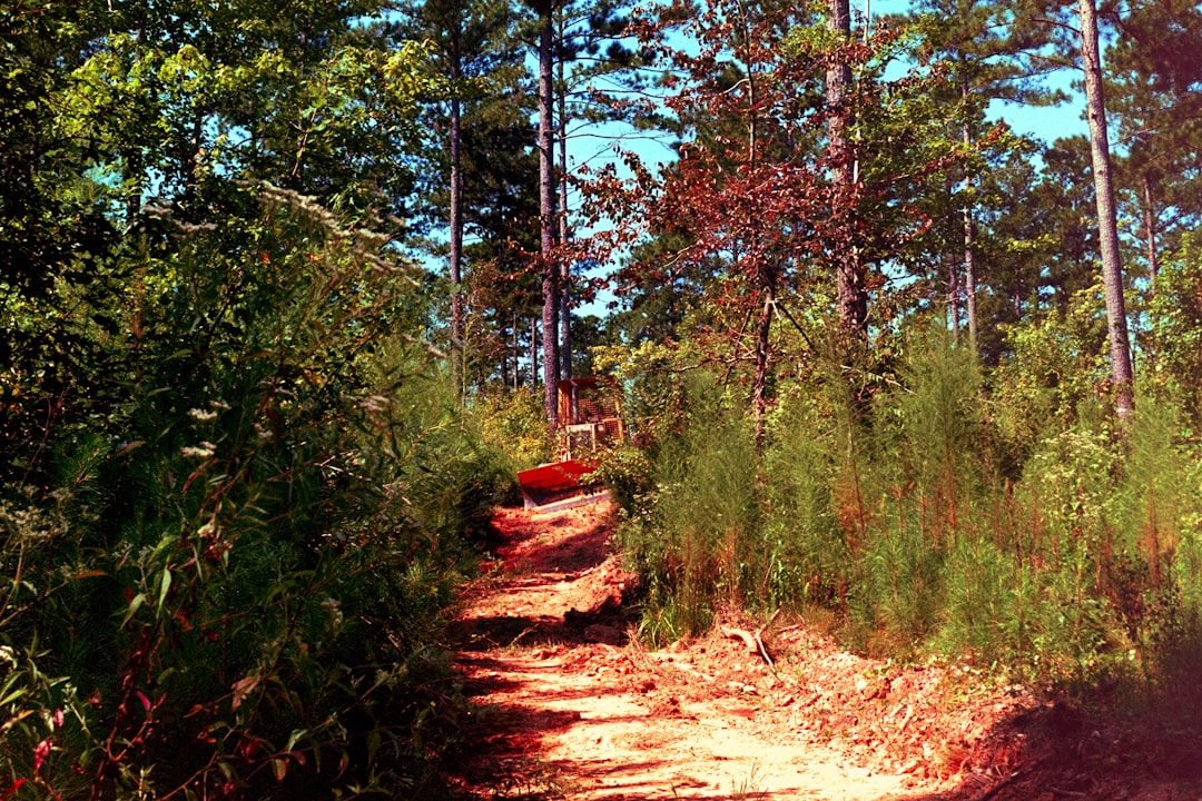 Photo offroad equipment